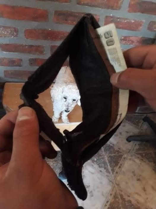 chiquimafia__'s tweet photo. Todavía me queda la ultima jugada https://t.co/LUsmFZ1op2