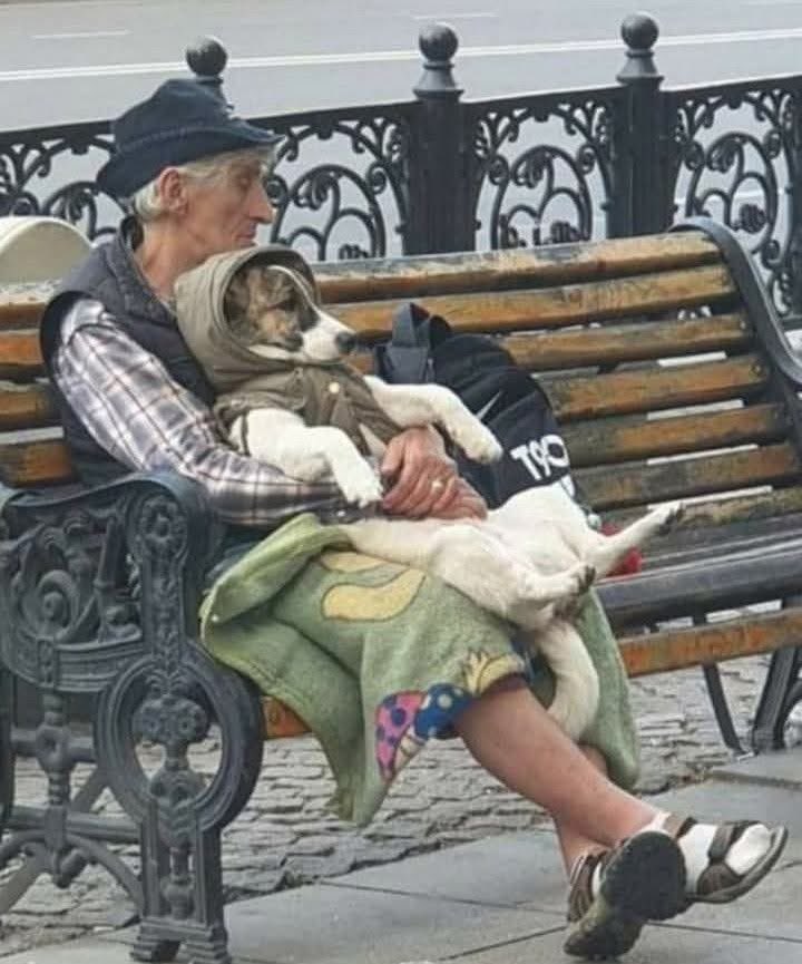 I don't care who you are, what your job title is, how much money you earn, how smart you think you are, how big your house is, what car you drive - how you treat animals tells me everything #iloveanimals 🖤🐾🐾