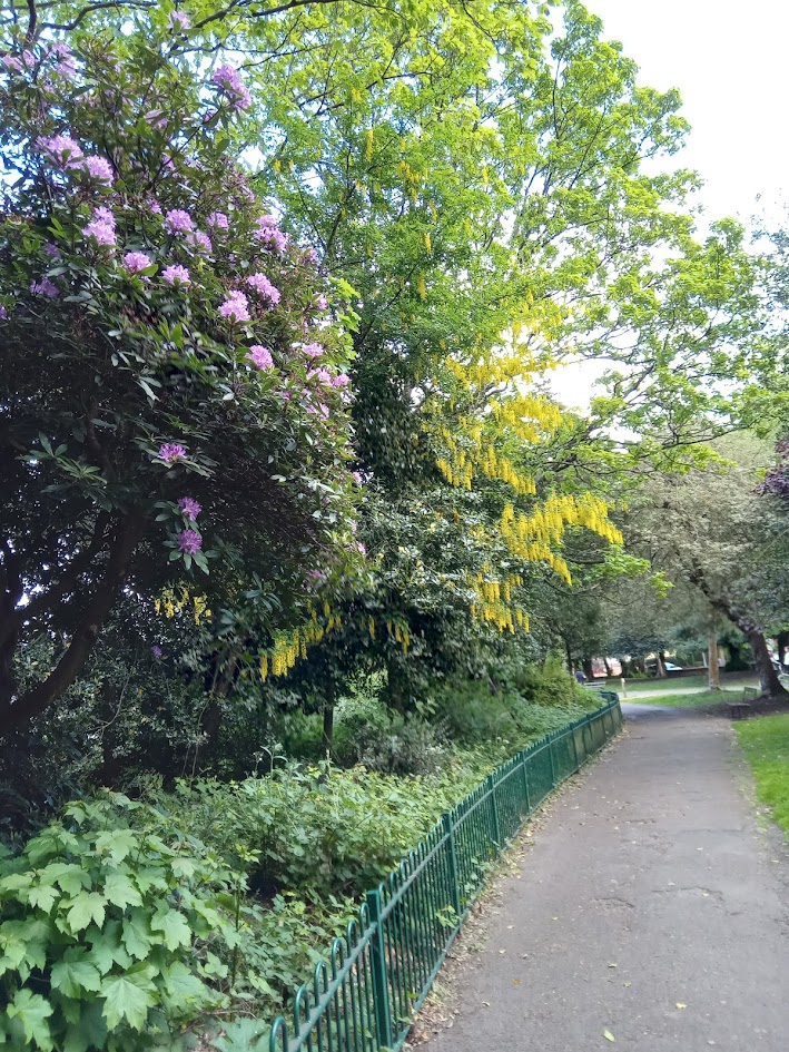 Keenan Recycling (@keenanrecycling) on Twitter photo It’s Love Parks Week (26 July – 4 August)!
We believe parks are more than just green spaces.
This #LoveParksWeek, let’s celebrate the spaces we love by keeping them green and thriving!
Photo: <a href="/VinayJalla/">Vinay Jalla</a> It’s Love Parks Week (26 July – 4 August)!
We believe parks are more than just green spaces.
This #LoveParksWeek, let’s celebrate the spaces we love by keeping them green and thriving!
Photo: <a href="/VinayJalla/">Vinay Jalla</a>