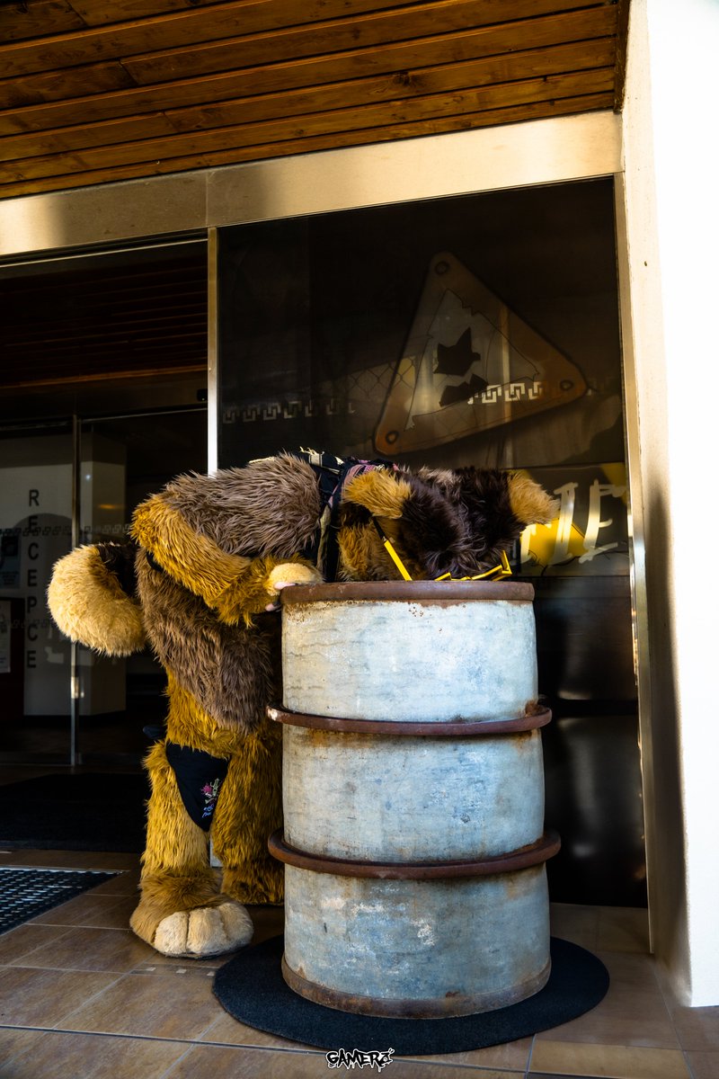 "Hallo? Someone left their #FursuitFriday post in there?"

📷@Hiigamerz