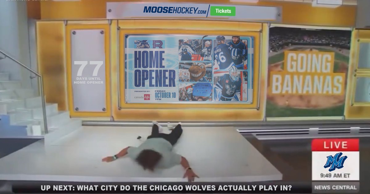 ManitobaMoose's tweet image. do a flip