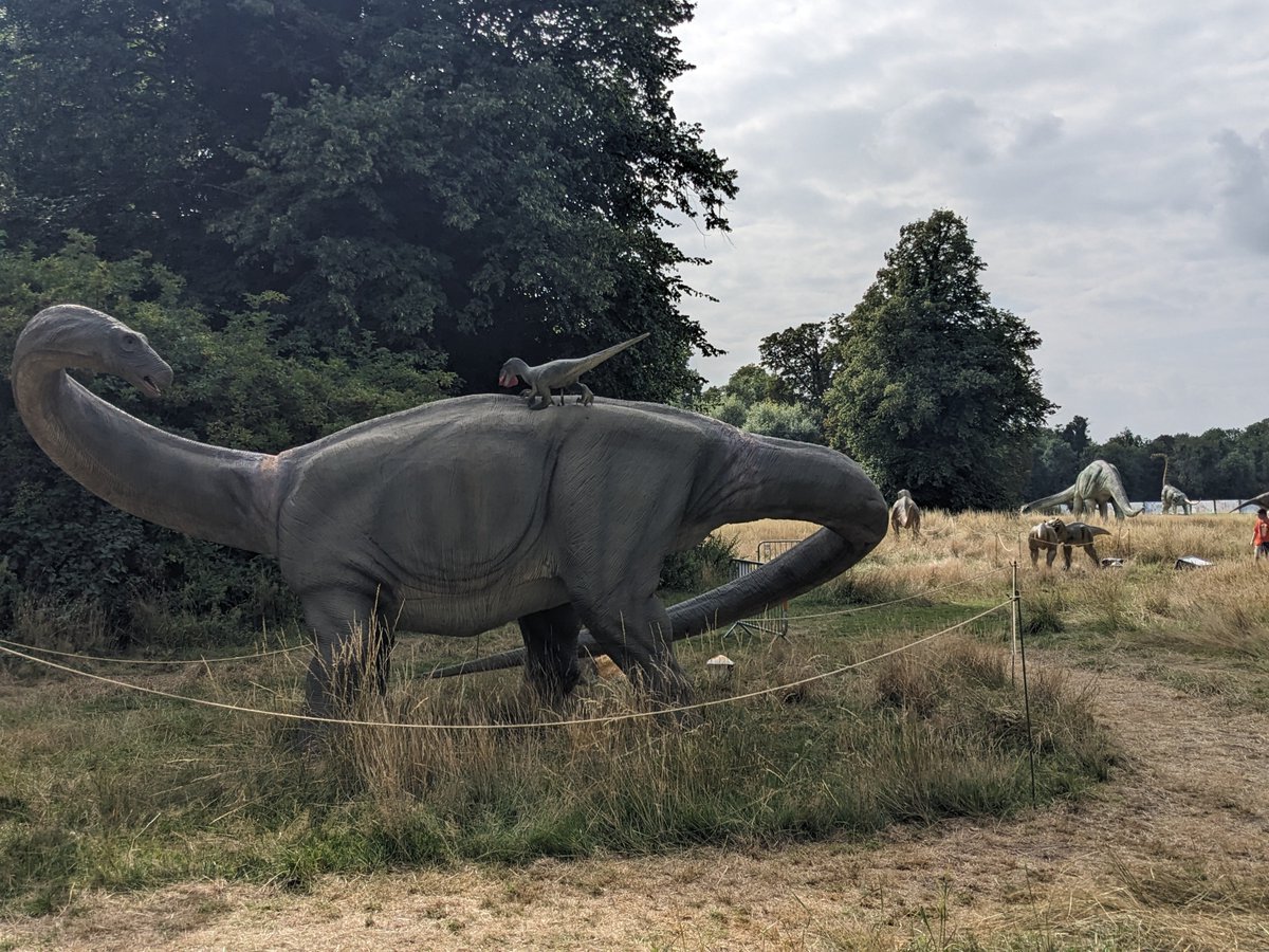 Wild animals loose in Beddington Park!

thelostkingdoms.com