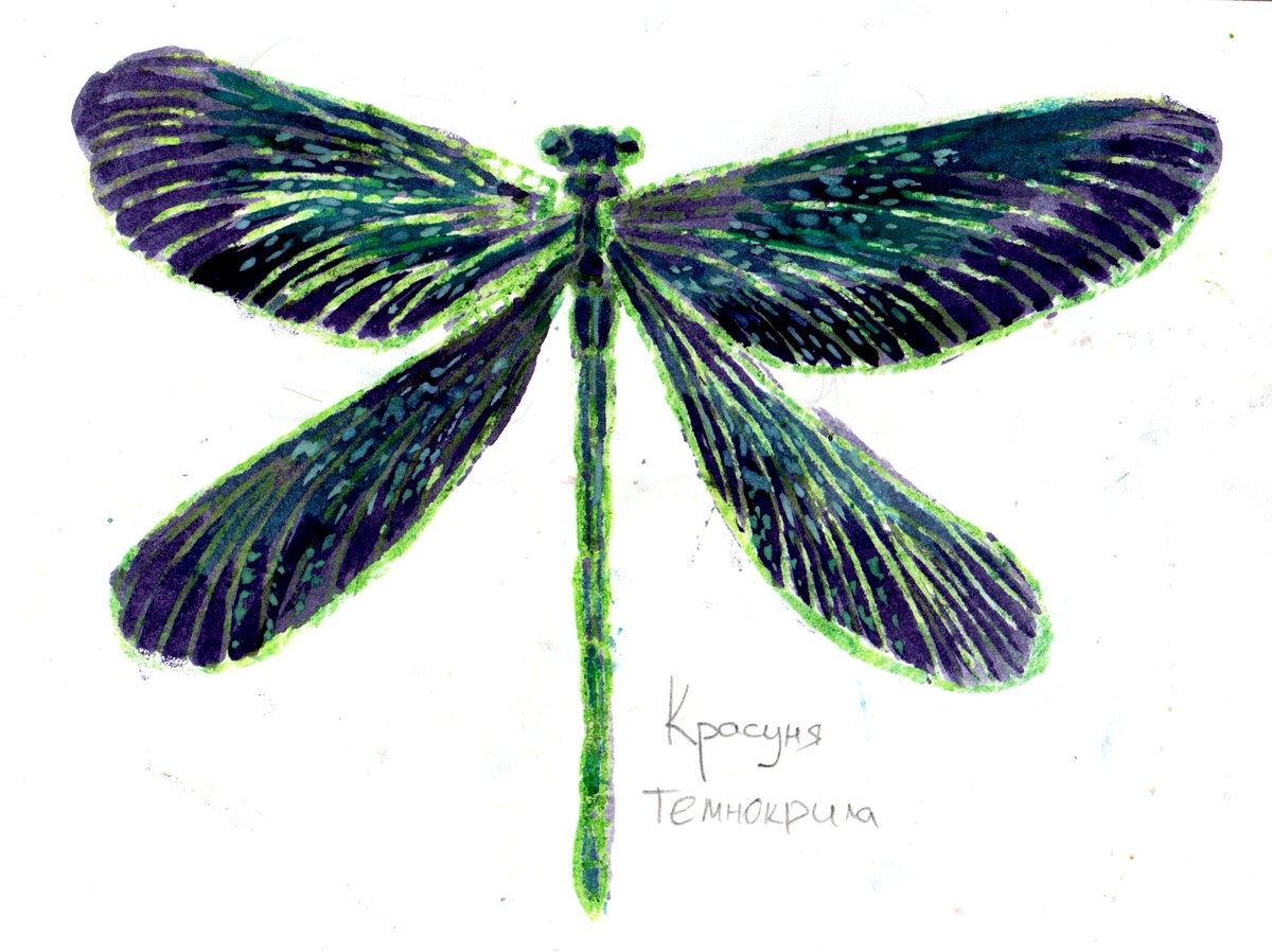 #комашинийлипень