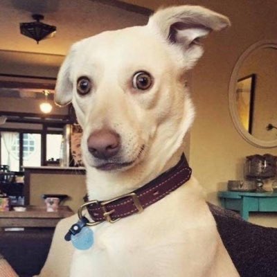 Gracielita #NSB tweet media