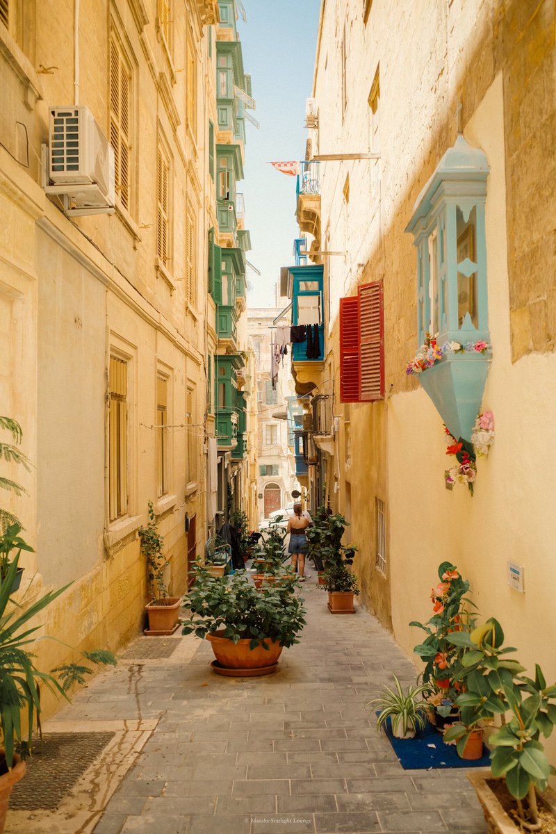 Masa8a's tweet image. 