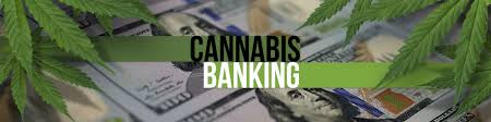 todd_harrison's tweet image. Bipartisan Coalition Of 32 Attorneys General Pushes Congress To Urgently Pass Marijuana Banking Bill
marijuanamoment.net/bipartisan-coa…