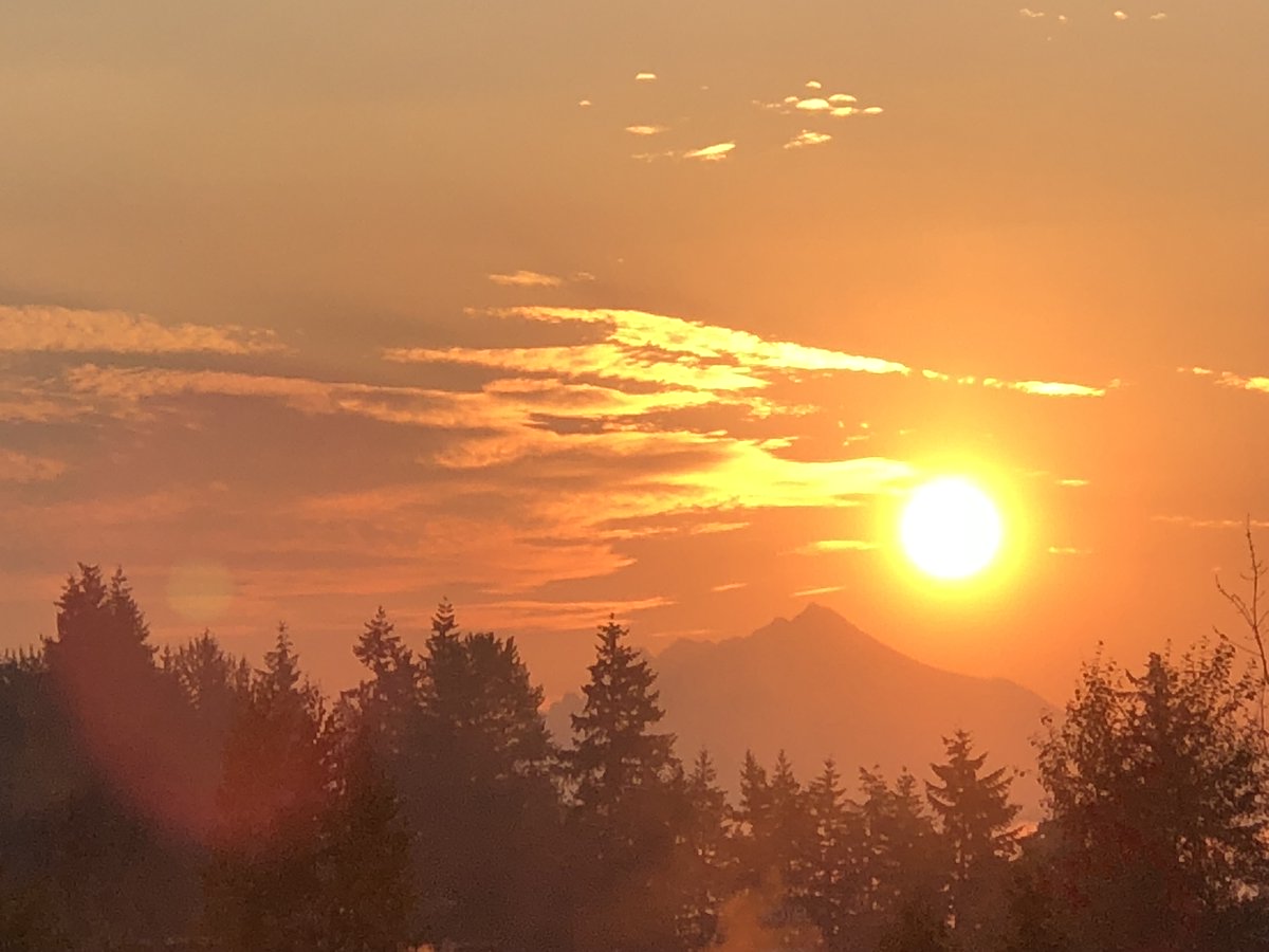 GeorgeAdon96301's tweet image. 🪺Are you a project developer with a $100+ million project in the United Kingdom, Spain, Canada, the USA, Germany,or Switzerland within the Renewable Energy, hospitality, or oil and gas industry? Serving many for 30+ years with growth.https://ats-business.comGA@ats-business.com