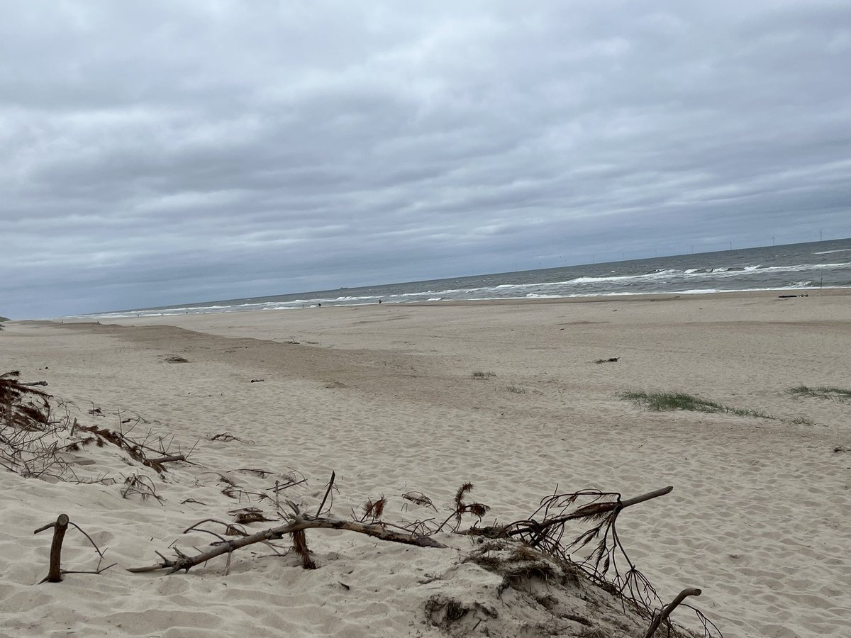McC3Kat's tweet image. The thing I love most about Denmark is the 600+ km of mostly empty beaches. The second image is of a WW2 German bunker on the beach. It’s slowly sinking into the sand.