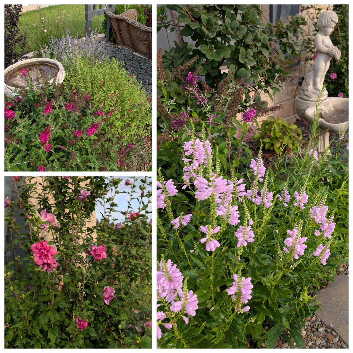Happy Friday Friends! 
#FridayVibes #FridayFeeling #FridayThoughts #gardening #outdoorliving