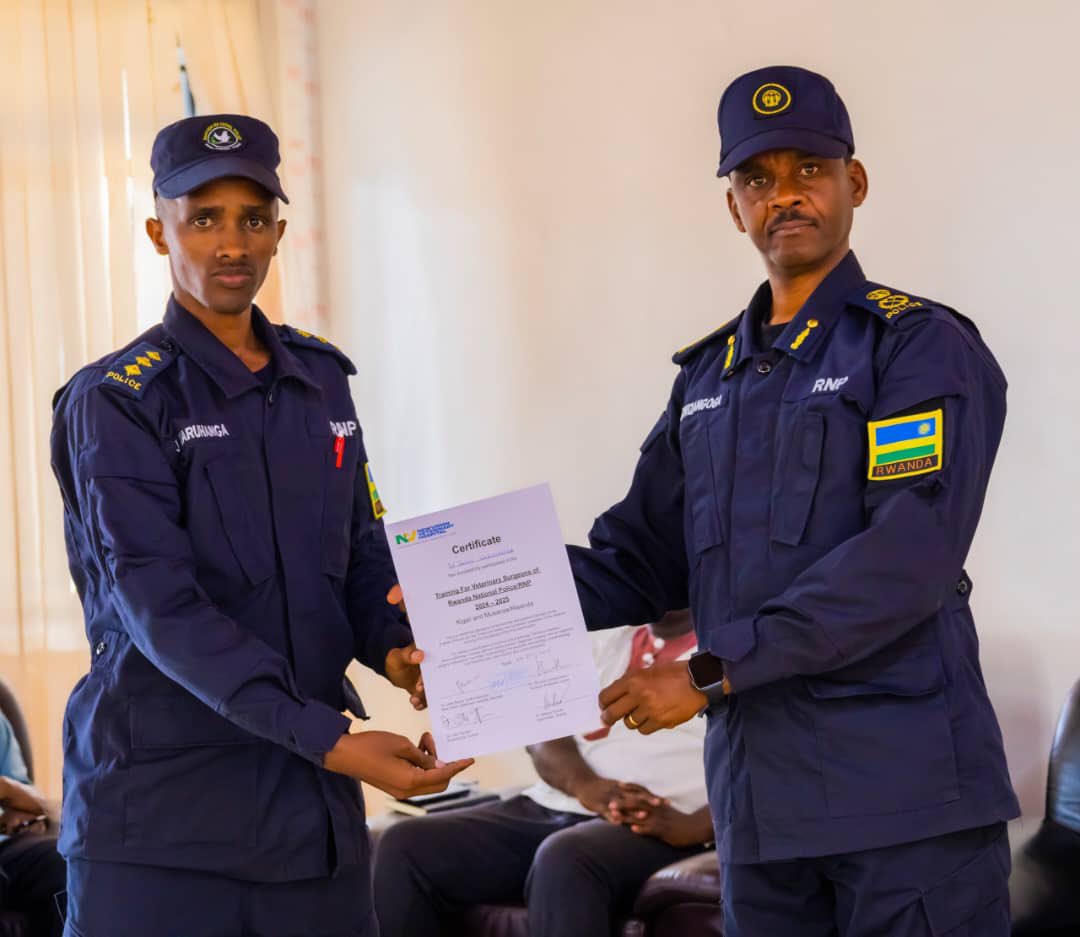 umunotanews's tweet image. Komiseri ushinzwe amahugurwa muri Polisi, ACP Barthelemy Rugwizangoga, yayoboye umuhango wo gusoza amahugurwa y’umwaka ku buvuzi bw’imbwa zifashishwa mu mutekano.
Uyu muhango wabereye ku cyicaro cya Canine Brigade, giherereye i Masoro, mu Karere ka Gasabo.
Aya mahugurwa…