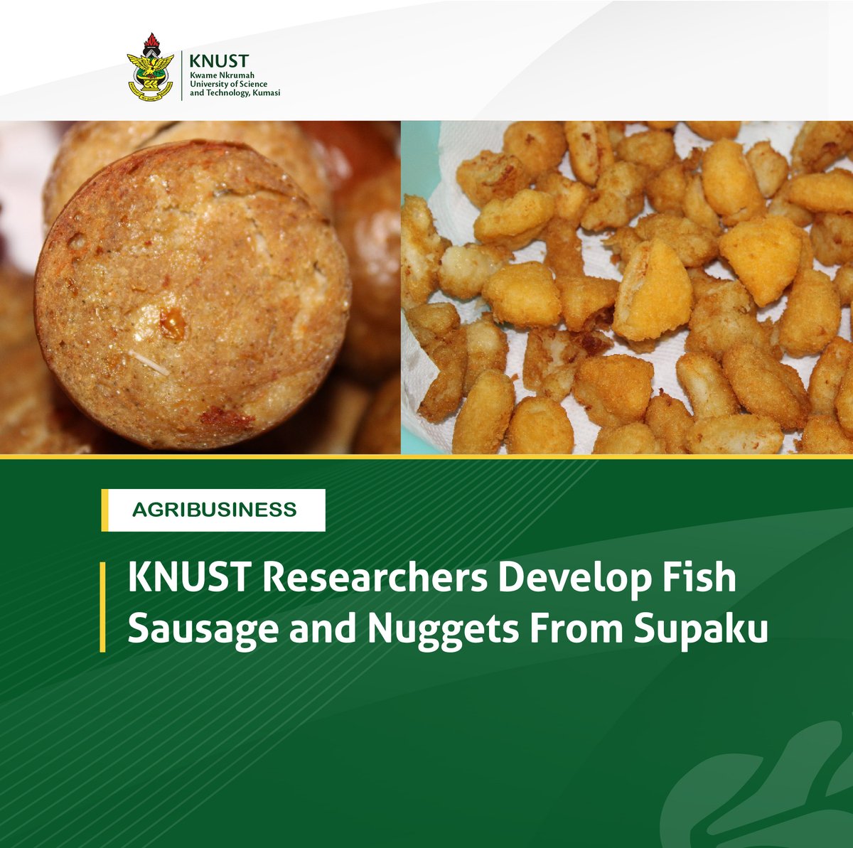 KNUSTGH's tweet image. This innovation forms part of the Increasing Productivity of Aquaculture in Ghana (iPAG) project, which aims to enhance aquaculture productivity through research, innovation, and value addition.
Learn more here⬇️
knust.edu.gh/news/news-item…