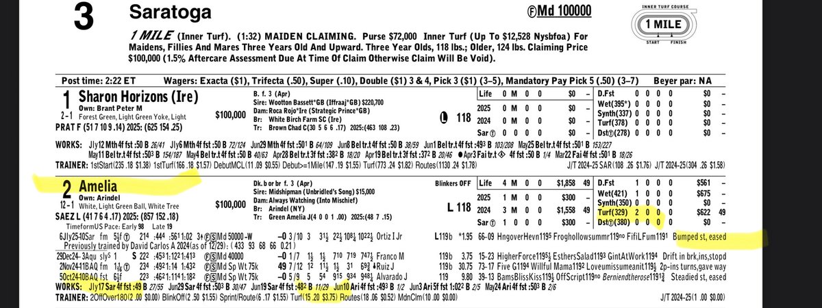 Rennietime's tweet image. Race3 @ Saratoga the 2 Amelia with the upset. coming back quick after being eased old school angle 📐 in wide open race it looks like. 💨💨