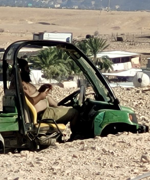Mistaclim's tweet image. אבישי הורוביץ, הבוס של המאחז הלא חוקי ליד ראס אל-עין, מתערטל ונוסע בטרקטורון בלב ראס אל-עין, קהילה מוסלמית דתית.
בפעם הבאה שידברו על ה"מתיישבים" שמגינים על האדמה הקדושה תוך קיום מצוות ומוסר התורה, כדאי שתביטו בתמונה.
מי שמתעמר בקהילה הפלסטינית, מופיע בה חצי עירום ויודע שהוא…