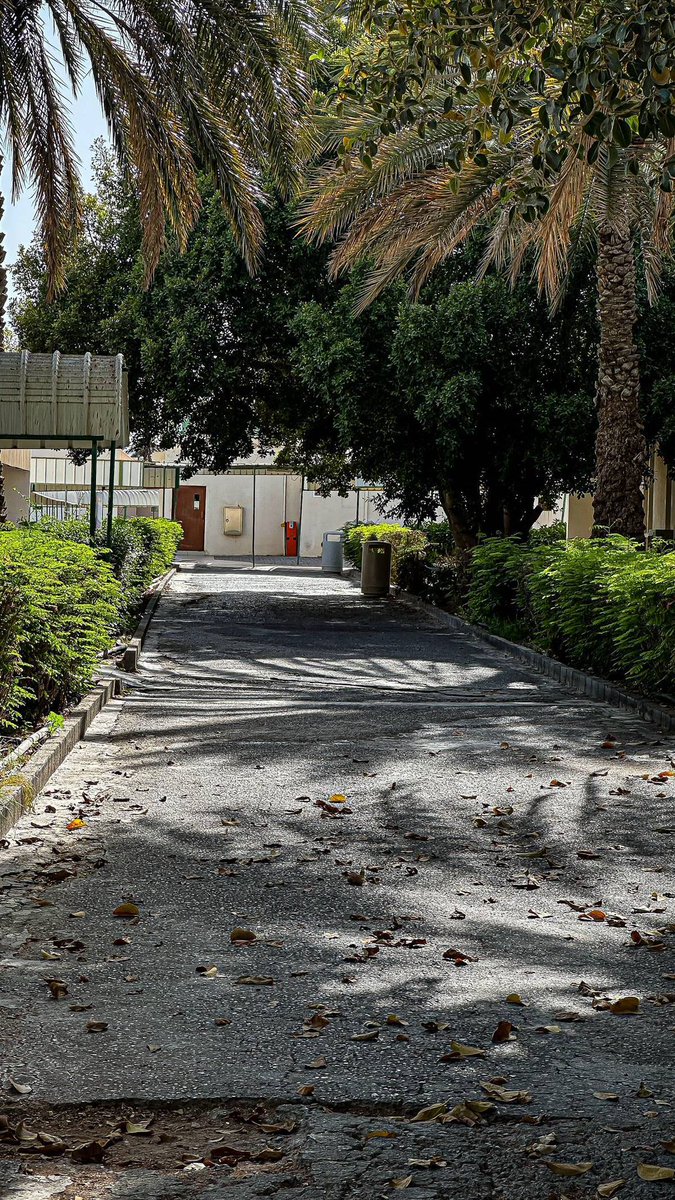 cc3vi's tweet image. 📚🏗️