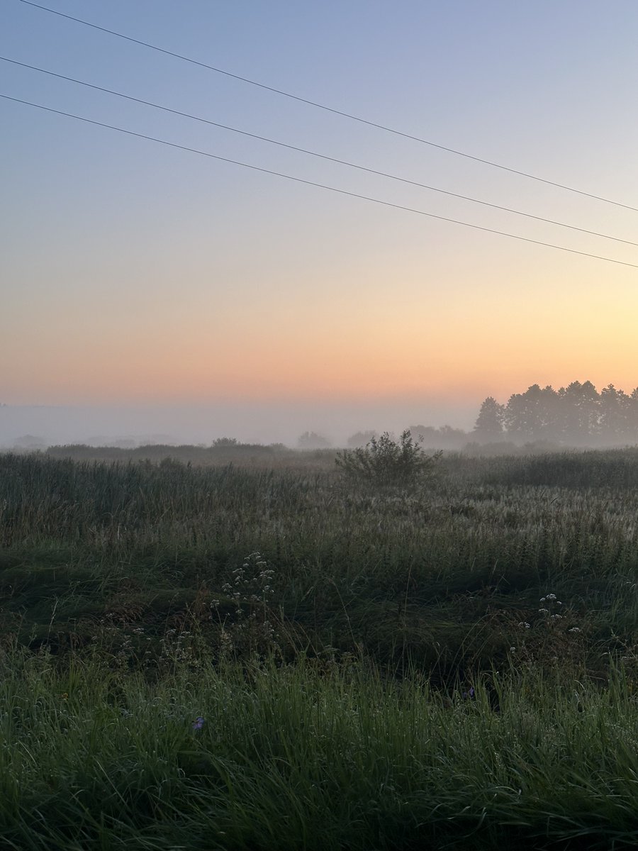 Some still images from my  Nature Explorations, I  sometimes walk into really beautiful spots. These were taken while filming Episode 07 of the Sound Hunt on YT.
