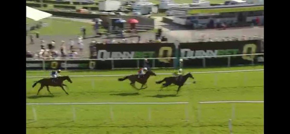 Icare Allen you little dancer 🤝

Drifted to 50/1 this afternoon aswell