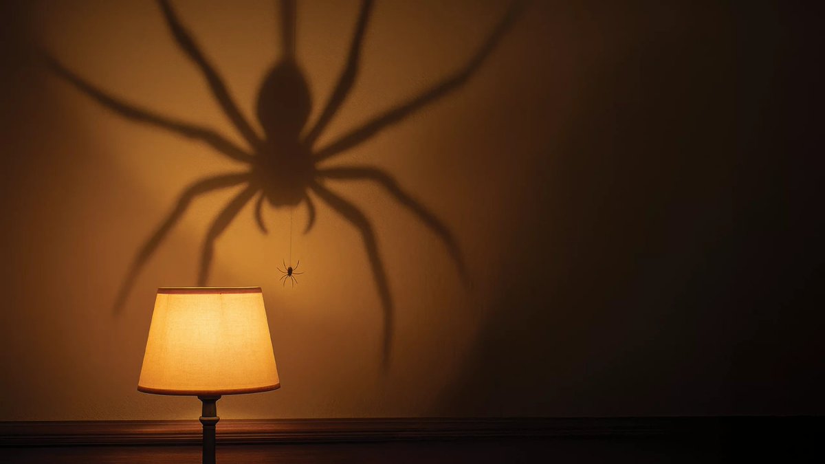 When Fear Steers the Soul: Navigating Life Beyond Imagined Dangers Hakan Oztunc
Phobias
Just as our rowing boat glided quietly along the waters that evening, the truth settled in: life is meant to be lived, not constrained by irrational fears. Stepping off the boat, the