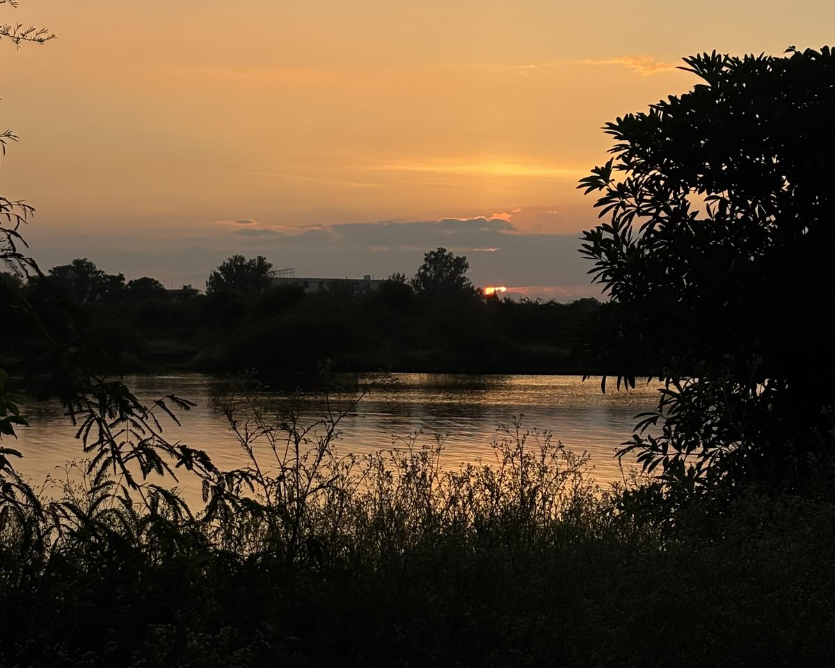 zeeaurav's tweet image. sunset