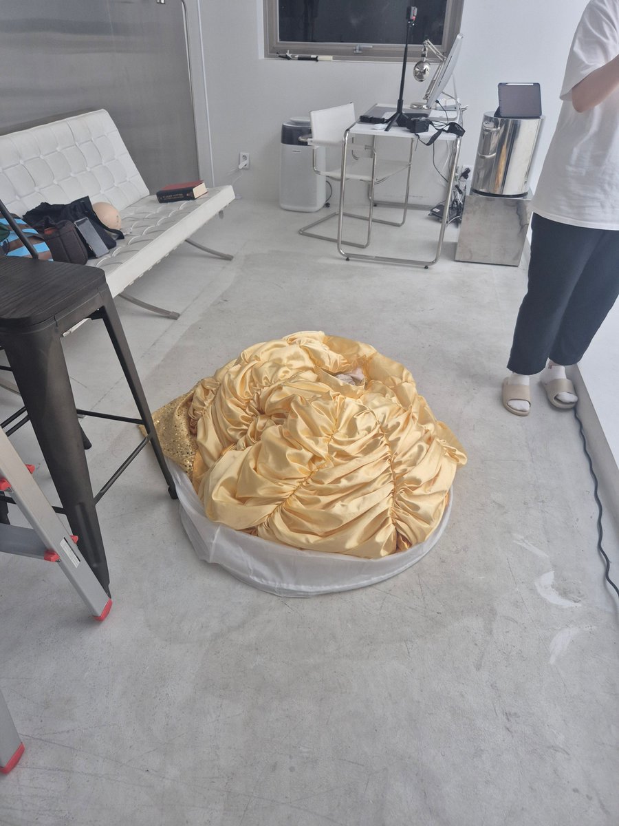 lihocosplay's tweet image. 황금푸딩