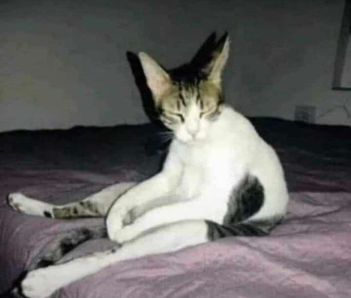 <a href="/aegq/">〄</a> لما صحوه عصر ومش 

داري أنها جمعه 😂😂