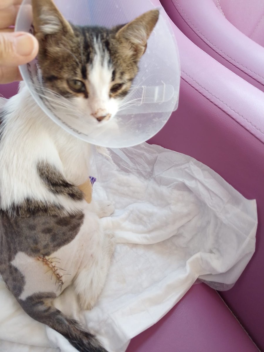 200 ₺ paylaşacak 40 kişi meleği aranıyor