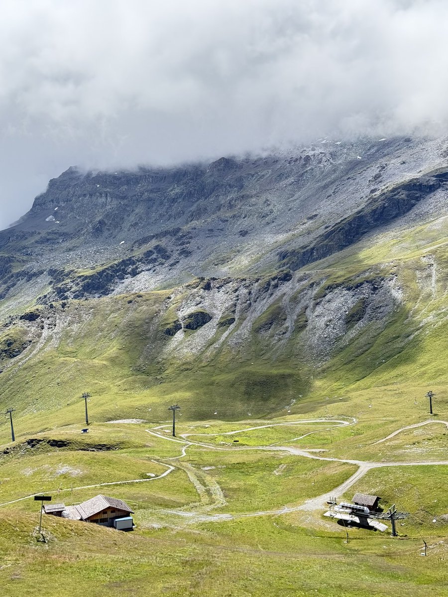TheSwissPath.com tweet media