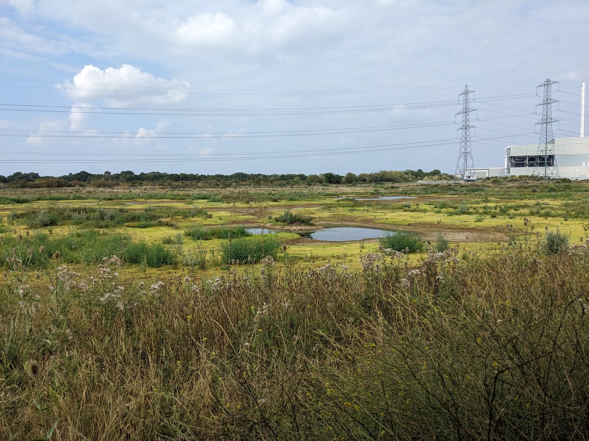 Beddington (dry)lands