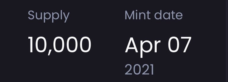 Piggy Sol Gang 🐽 tweet media