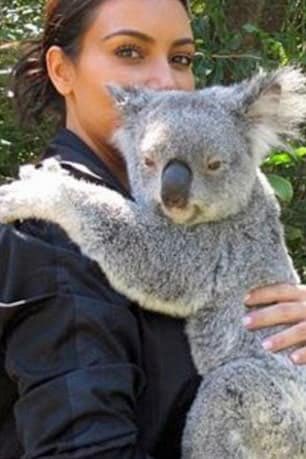 StansaidAirport's tweet image. Wonderful picture just in. Kim Kardashian enjoying a break down under. I’ve never understood the attraction of hugging those things, it's well known they're riddled with Chlamydia. Still, the koala doesn’t seem to mind. Marvellous.