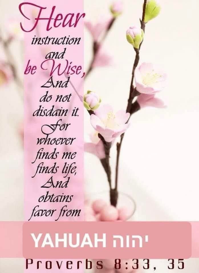 FortheLOVEofYAH's tweet image. 