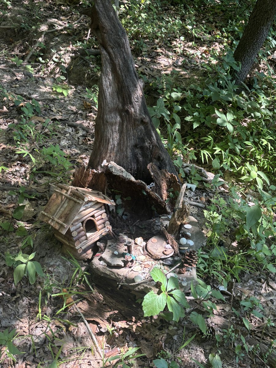 buttootking's tweet image. when u came for waterfall trail but u see the fairy trail right next to it.... life is so beautiful