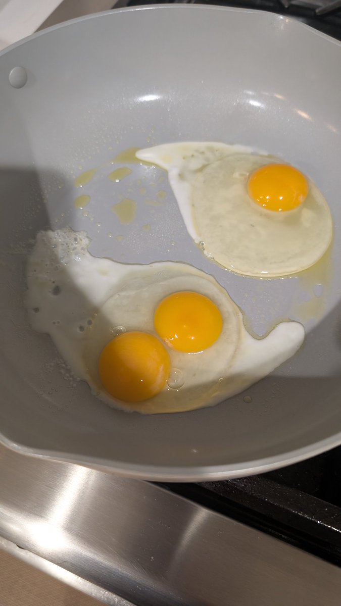 double yolked egg this morning!