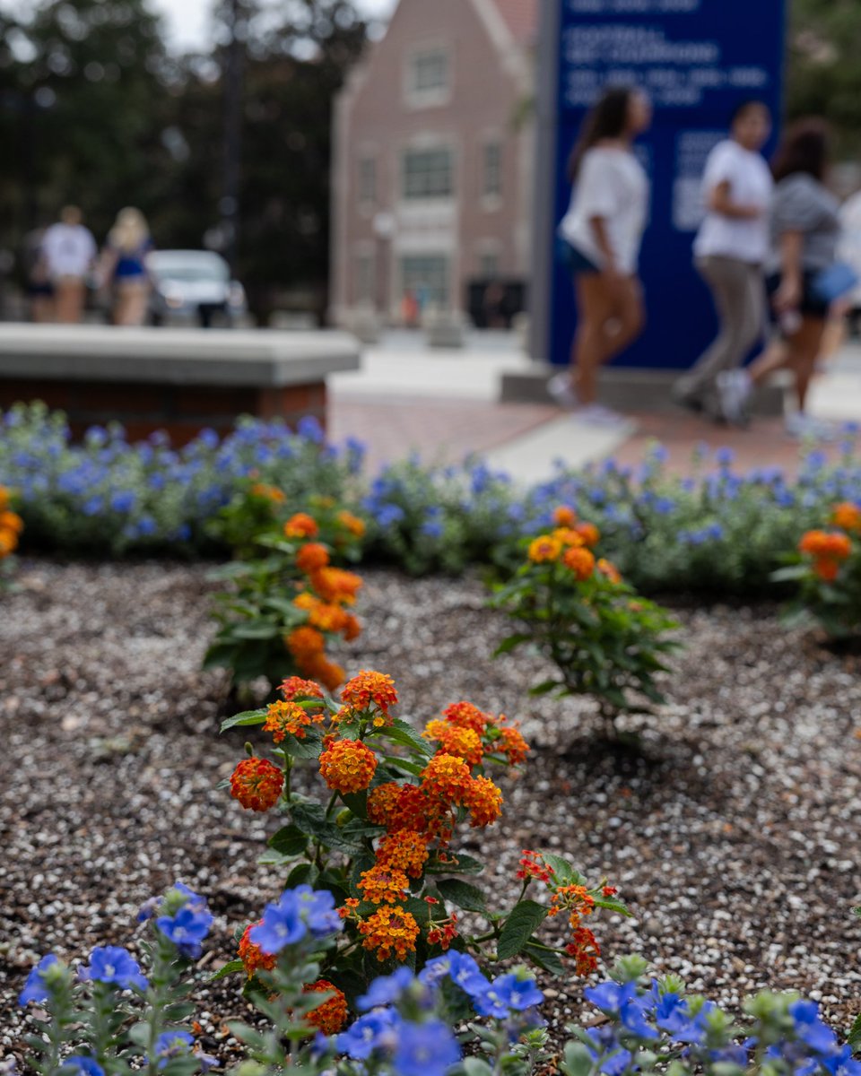 UFFacilities's tweet image. Not saying the butterflies are Gator fans… but they do seem to prefer orange and blue 👀🦋🧡
#UF #FSFlowerFriday #UFFacilitiesServices #FacilitiesManagement