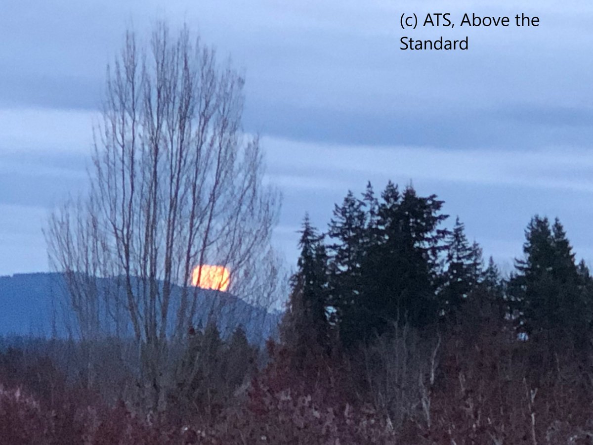 GeorgeAdon96301's tweet image. 🪸Working on a Major Oil and Gas Project? In today’s volatile energy landscape, clarity, readiness, and execution are everything. We are looking to connect with Project Owners of serious oil and gas initiatives that move markets and create long-term value... GA@ats-business.com