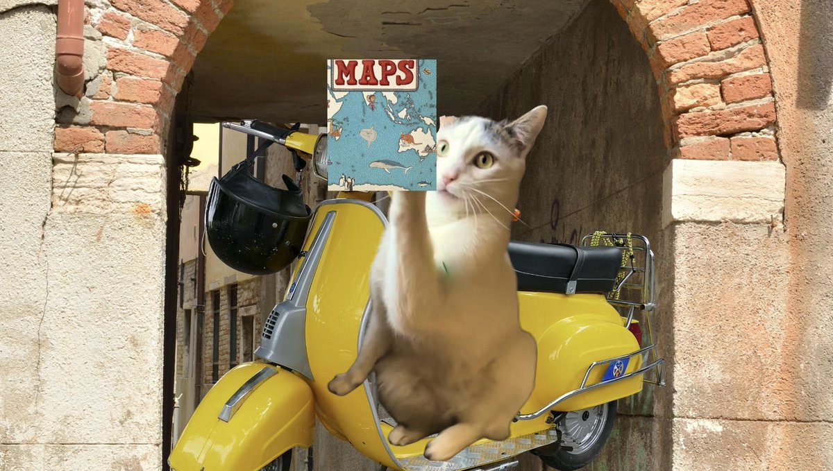 My cat on one of his Vespas.