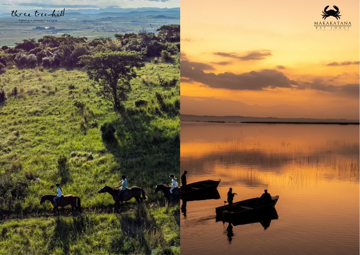 African Safari Collective (@africansafaric2) on Twitter photo Your safari, their future. Discover the real-life magic happening at our lodges, from rhino protection at Sungulwane to fair trade initiativ...africansafaricollective.co.za/beyond-the-gam… #EthicalTravel #WildlifeProtection #SafariStories #SustainableTourism #AfricanSafariCollective #ImpactTravel #ASC Your safari, their future. Discover the real-life magic happening at our lodges, from rhino protection at Sungulwane to fair trade initiativ...africansafaricollective.co.za/beyond-the-gam… #EthicalTravel #WildlifeProtection #SafariStories #SustainableTourism #AfricanSafariCollective #ImpactTravel #ASC