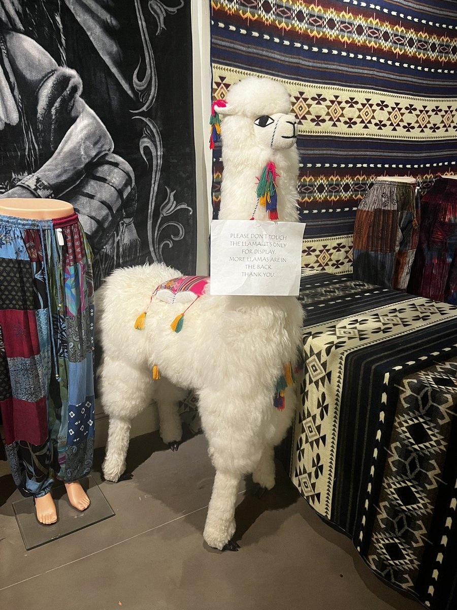 I found llamas and alpacas!!!!!!