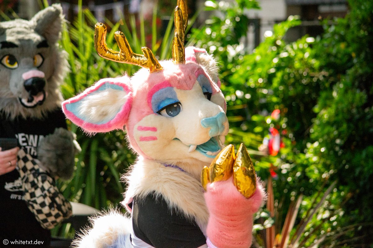 WerewoofPrince's tweet image. #FursuitFriday kisses from a soft deer boy 💖✨️
📸 by @_whitetxt
🪡 by @GuroBakery
📍@LondonFurs summer party