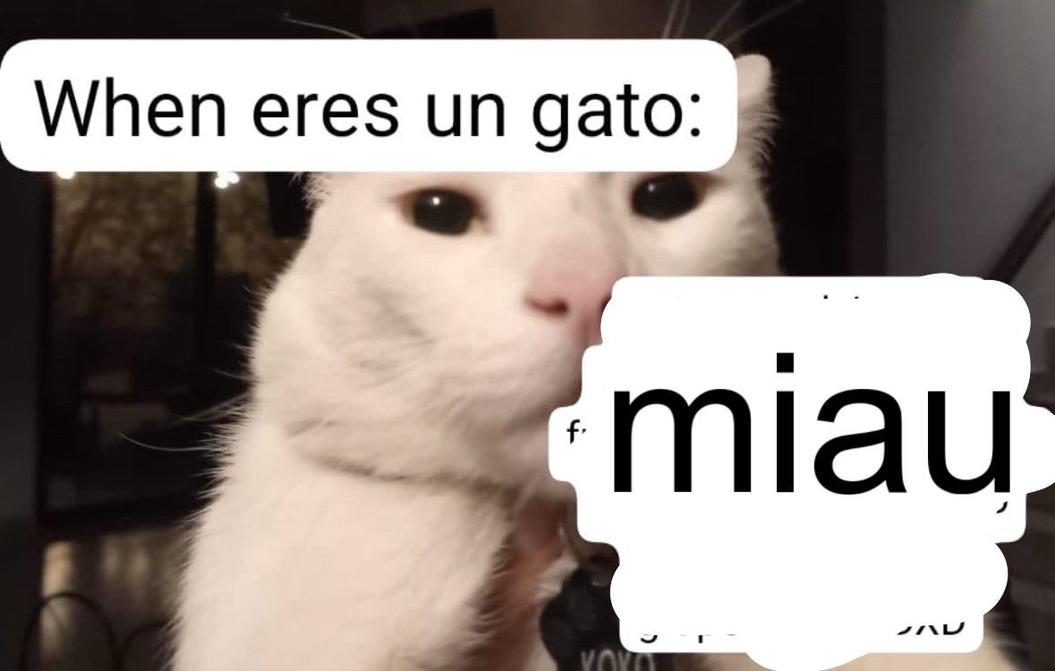 tazuransi's tweet image. one of my cats killed a lizard again and left its headless corpse on the stairs