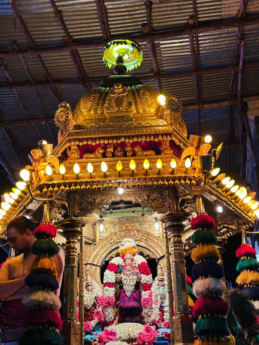 KanchiMatham's tweet image. Shukravaram- Swarna Rathotsavam performed to Shri Kanchi Kamakshi Ambal this evening (25 Jul. 2025) #kamakoti