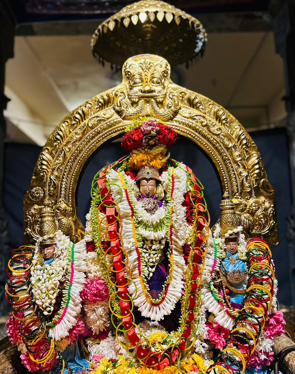 KanchiMatham's tweet image. Shukravaram- Swarna Rathotsavam performed to Shri Kanchi Kamakshi Ambal this evening (25 Jul. 2025) #kamakoti