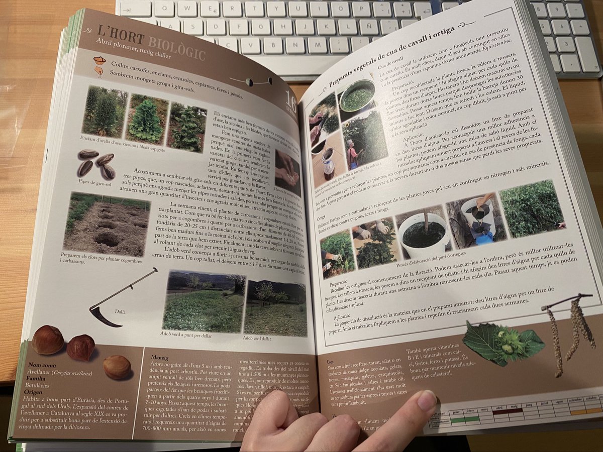 mireiacamacho75's tweet image. Per als qui teniu un hortet recomano moltíssim aquest llibre😌
Explica què pots plantar, collir o fer en cada setmana de l’any. També hi ha remeis, receptes i consells.
Enamoradíssima🥰🥰