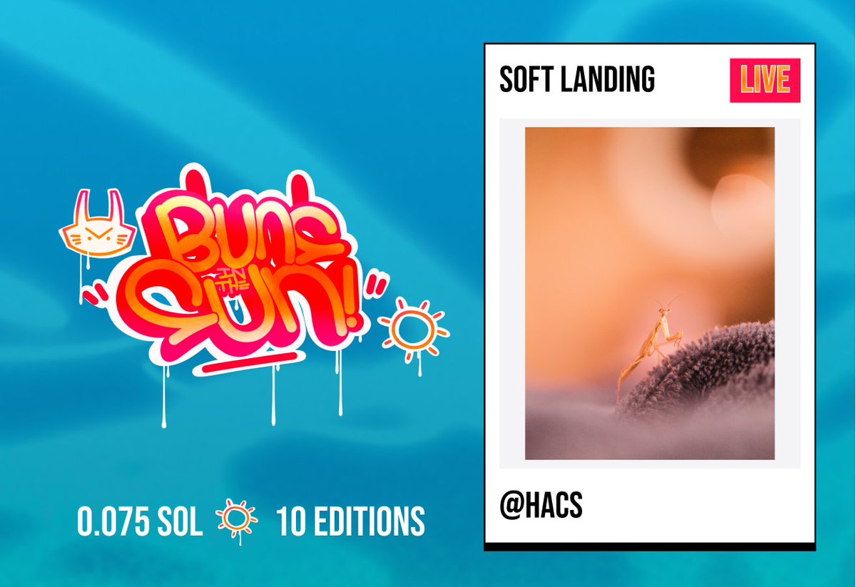 BUNS IN THE SUN - DAY 25 🌞 is LIVE!

Soft Landing / <a href="/hacss/">H A C S</a> 

→ 0.075 SOL
→ 10 Editions

All editions give you access to the <a href="/GuidesPFP/">GUIDES</a> raffles!

Don't miss out ↓↓