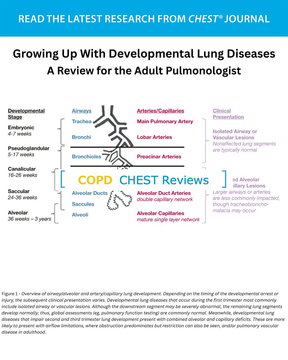 journal_CHEST's tweet image. A #CHESTReview aims to provide a framework for evaluating and managing individuals with developmental lung diseases.
Read more in the July issue of the journal CHEST®: hubs.la/Q03yRLPN0
#MedEd #JournalCHEST