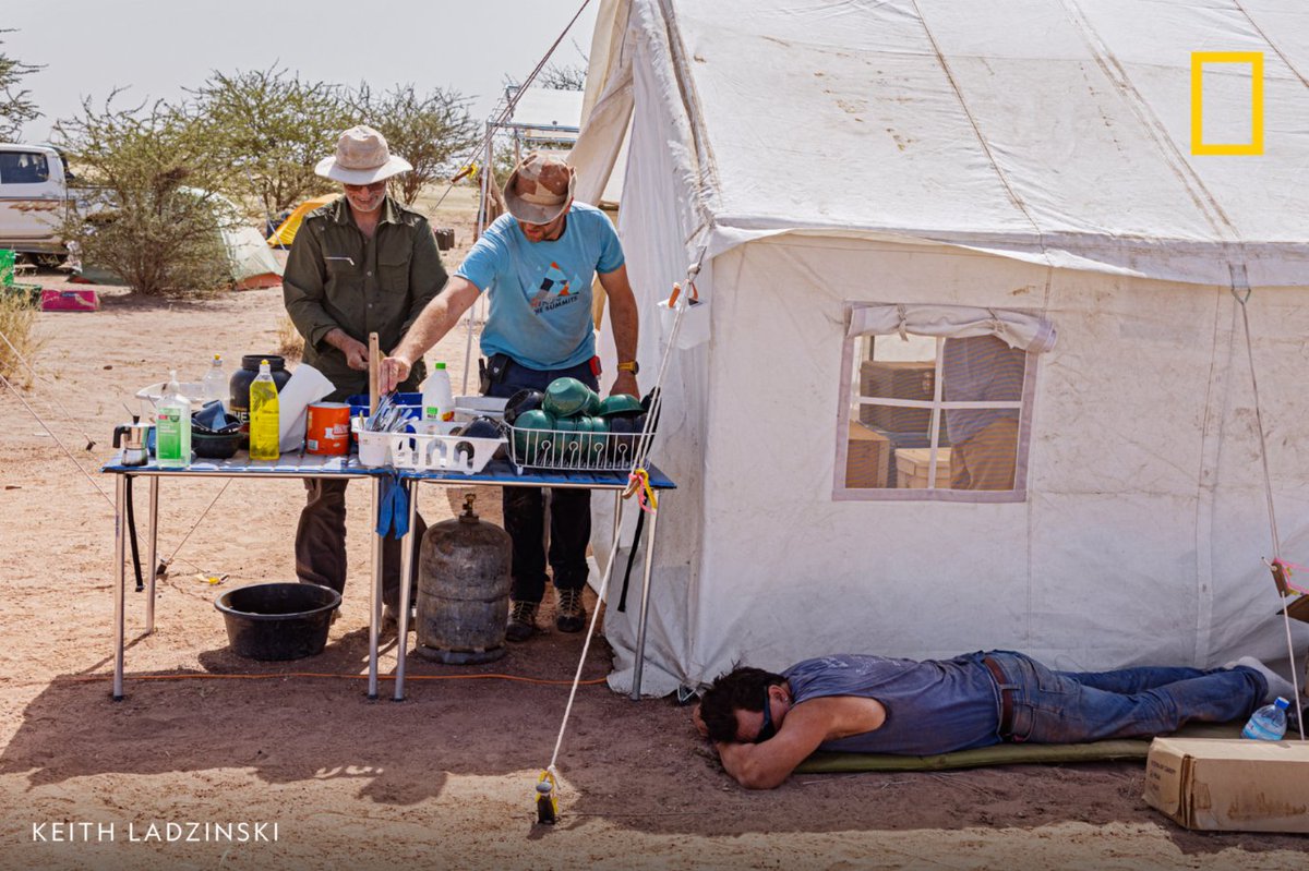 NatGeo's tweet image. The Sahara desert is well-known for its harsh climate, but it's also home to incredibly rich deposits of dinosaur fossils. However, getting those fossils out of the ground in this environment isn't easy. Learn more about this difficult excavation: on.natgeo.com/3TXEJIM