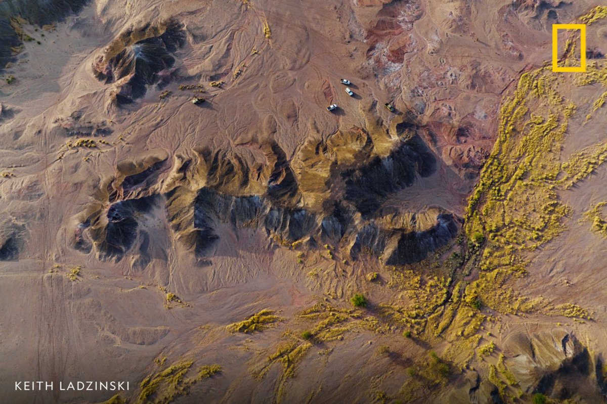 NatGeo's tweet image. The Sahara desert is well-known for its harsh climate, but it's also home to incredibly rich deposits of dinosaur fossils. However, getting those fossils out of the ground in this environment isn't easy. Learn more about this difficult excavation: on.natgeo.com/3TXEJIM