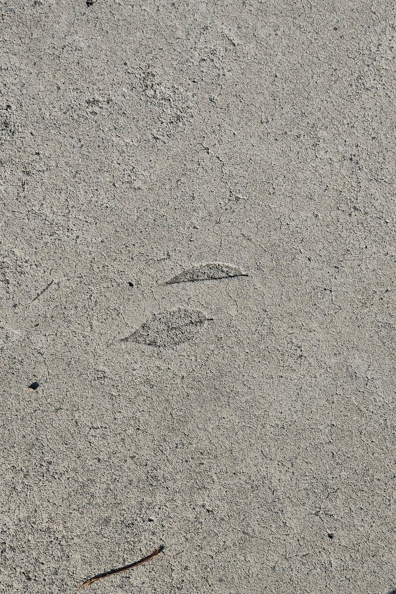 땅을 보고 걸어요