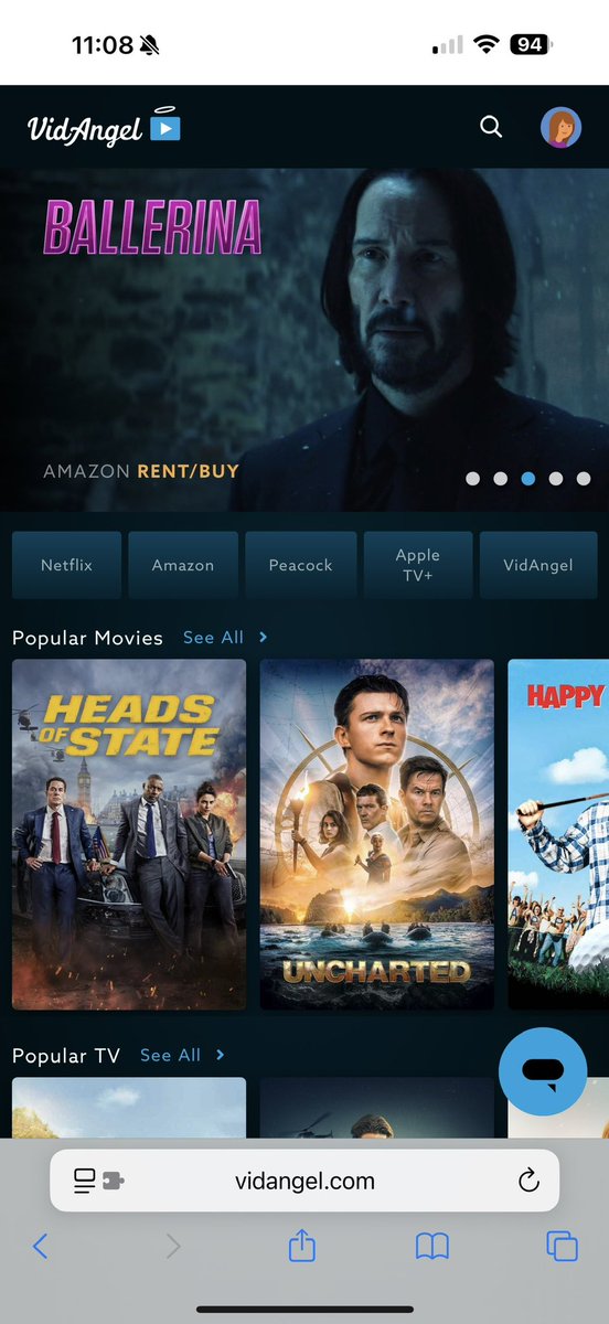 We just signed up for <a href="/VidAngel/">VidAngel</a>. The filtering out of sexual content seems great, but I’m really shocked at the lack of other content controls. 

For instance, my 12 year old daughter still sees John Wick and movies like that. Sure it will filter out language, gore, sex, and