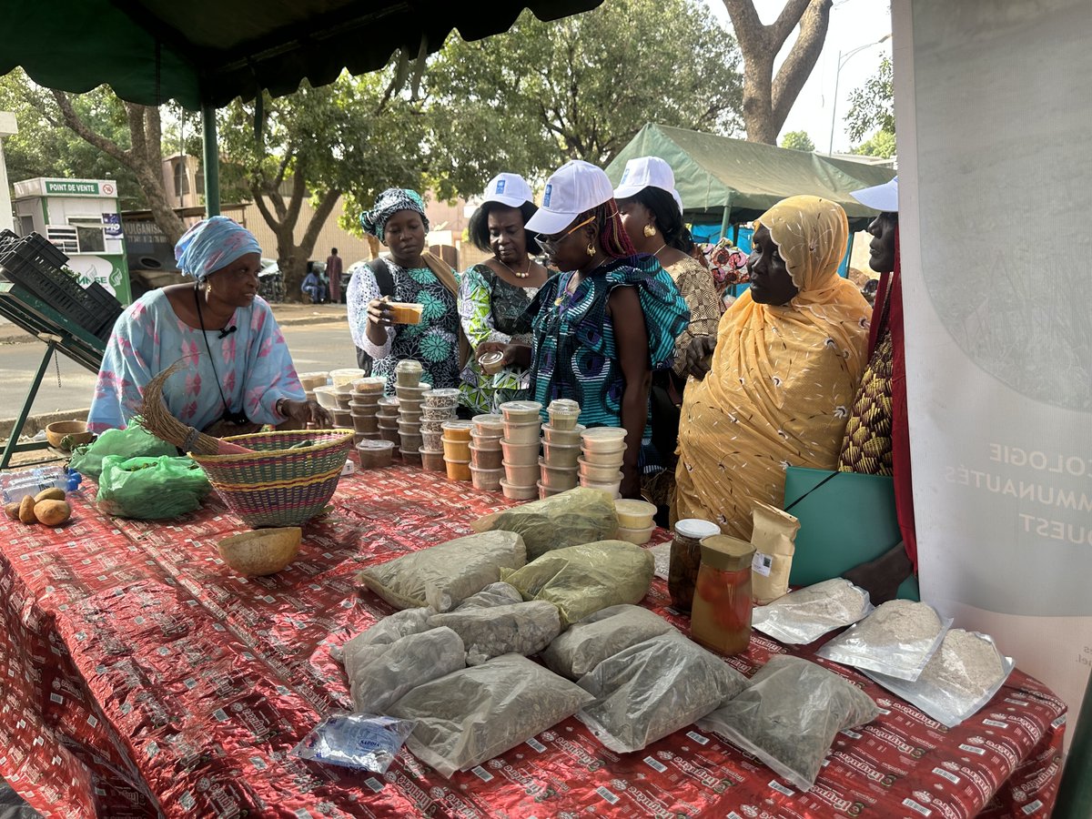 pnud's tweet image. El empoderamiento de las mujeres va más allá de lo económico.
En el Chad 🇹🇩, la capacitación les ha dado confianza para involucrarse en la toma de decisiones y participar en los procesos políticos locales.
@RaquelLagunas_ ✍️ cuenta más en su nuevo blog: go.undp.org/w4R