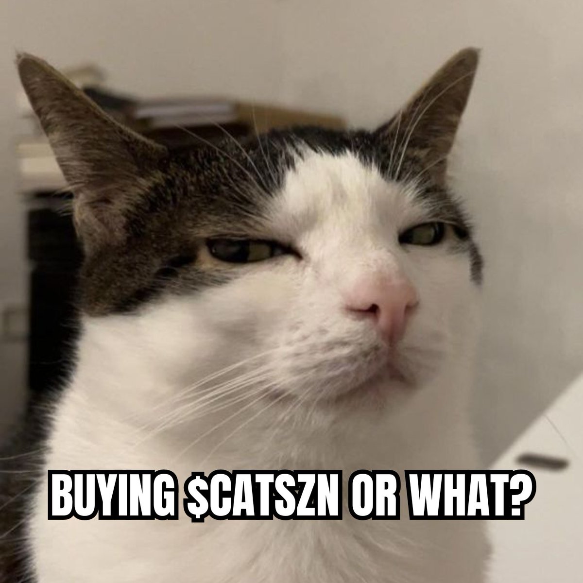 If you aren't in $CATSZN then you not living life. Join the Catbal

3fmpxW4ieK4CSuWwJuC7CiBPeiaT5dJCGGLiAVZbh9DJ